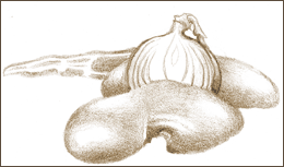 kidneys, onion and bacon